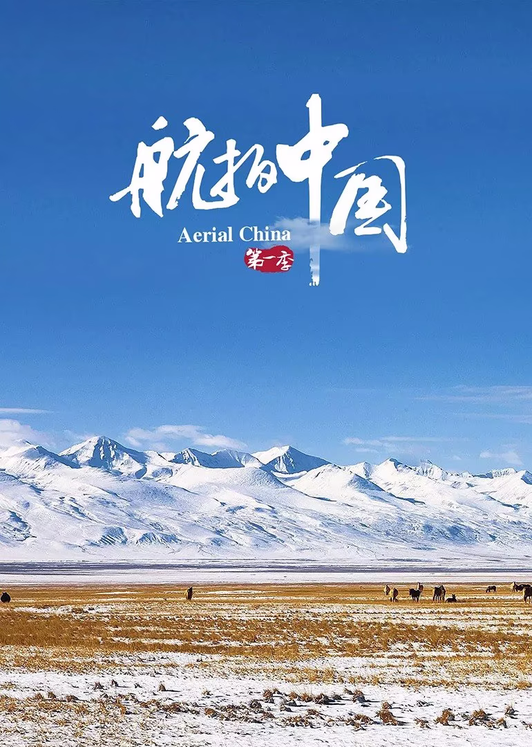 尽情在房间里玩耍剧照1